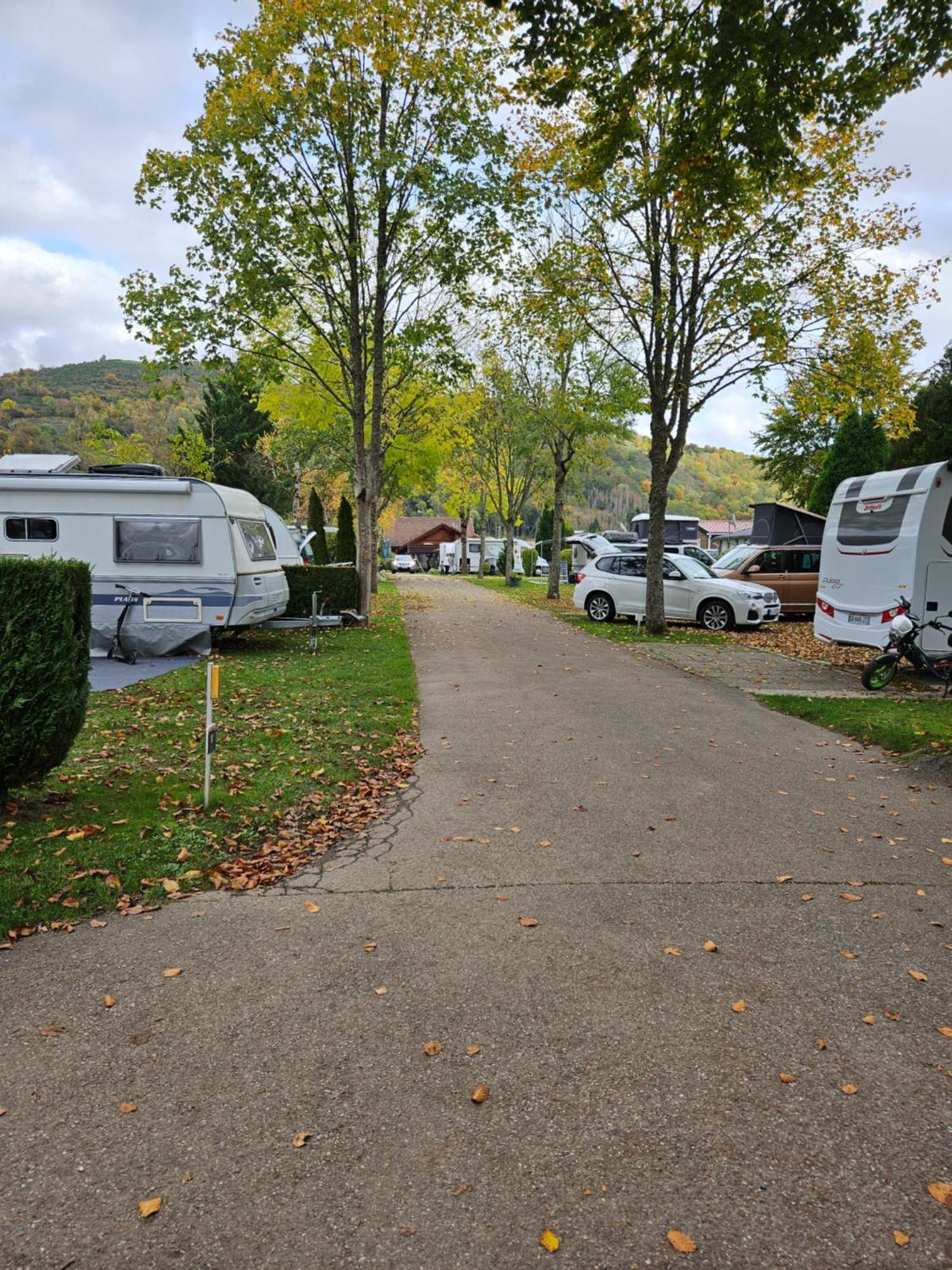 Les Terrasses Des Bouleaux Et *